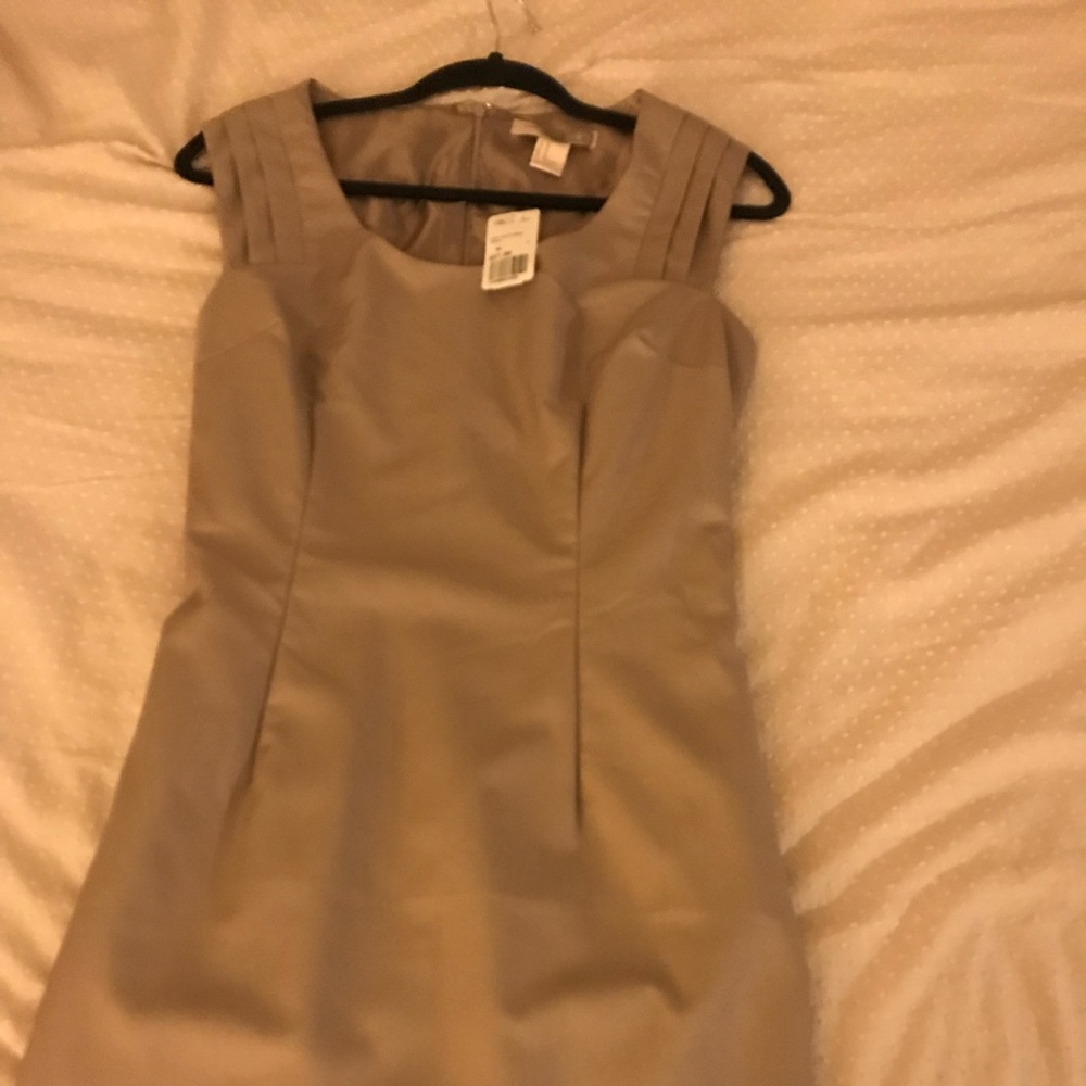 Taupe business casual suit work dress - brand new with tags